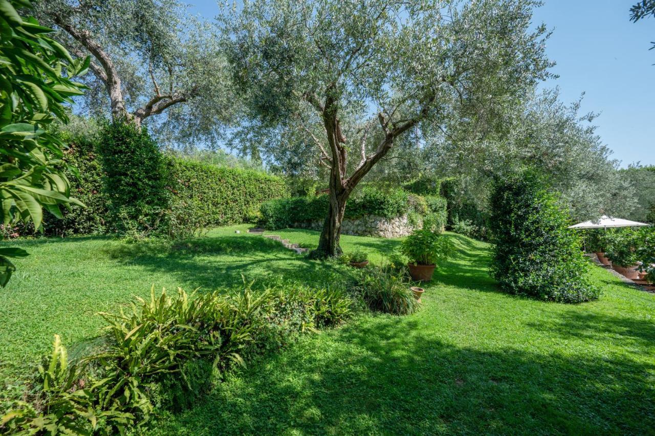 Villa Eden Forte Dei Marmi With Private Infinity Pool Santa Lucia  Dış mekan fotoğraf
