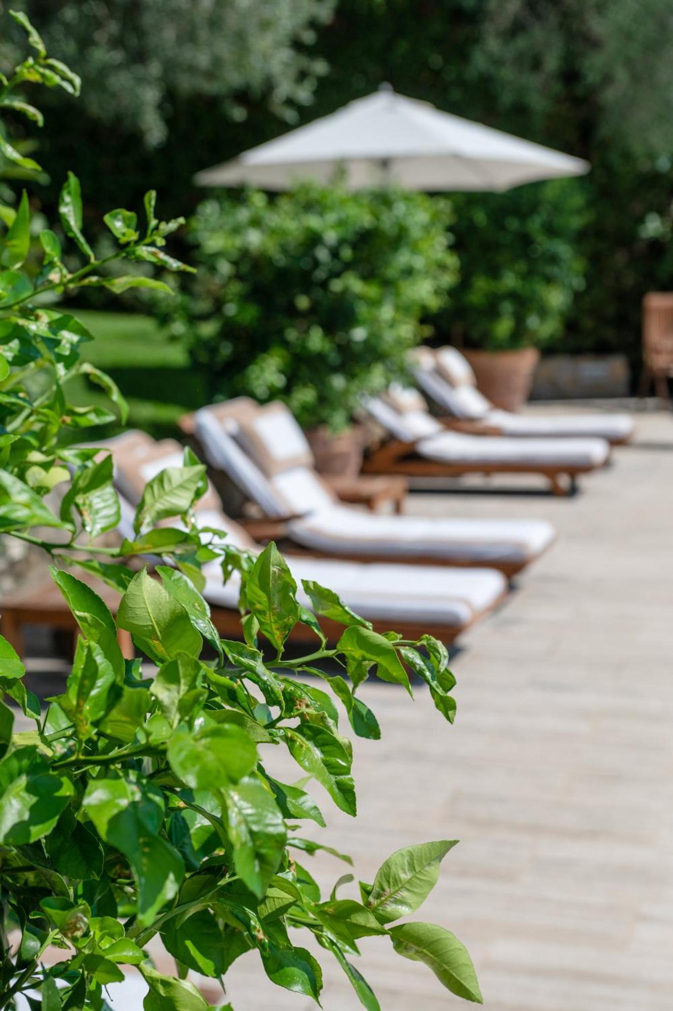 Villa Eden Forte Dei Marmi With Private Infinity Pool Santa Lucia  Dış mekan fotoğraf
