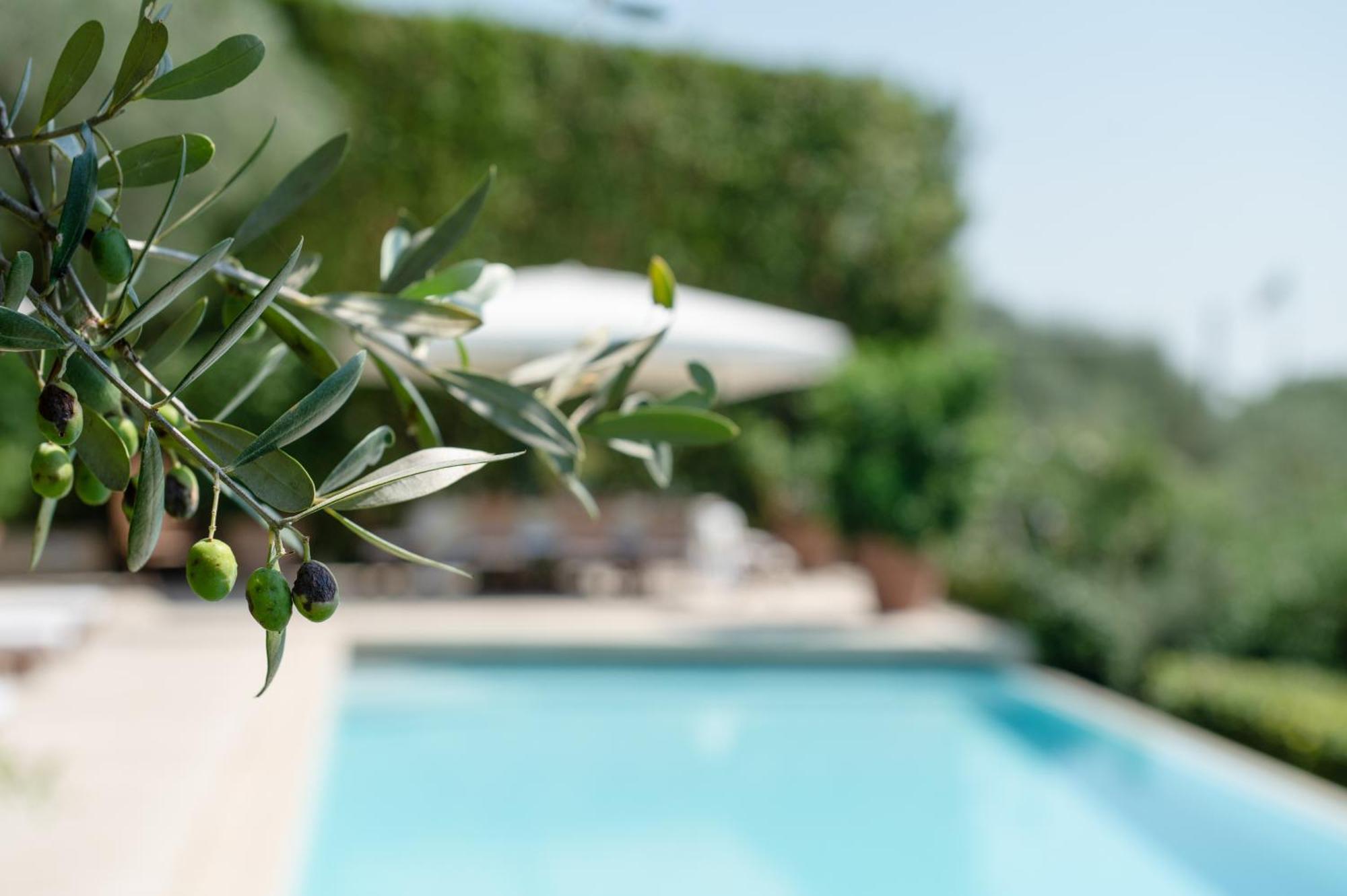 Villa Eden Forte Dei Marmi With Private Infinity Pool Santa Lucia  Dış mekan fotoğraf