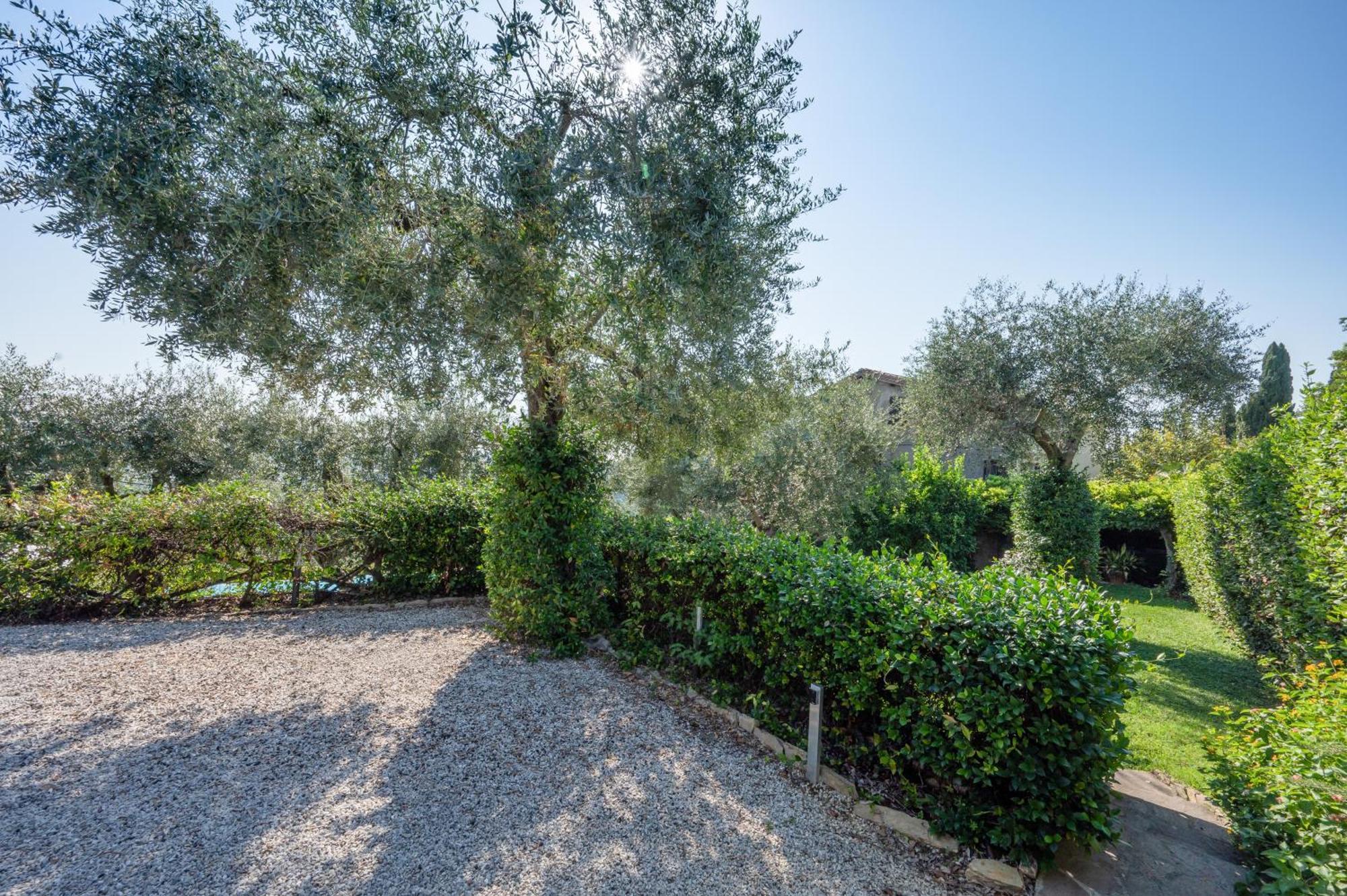 Villa Eden Forte Dei Marmi With Private Infinity Pool Santa Lucia  Dış mekan fotoğraf